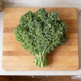 Darkibor, (F1) Kale Seed